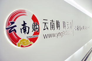 云南購，購云南 奧遠科技助力云南商品與品牌走向世界